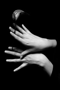 Живой лепесток