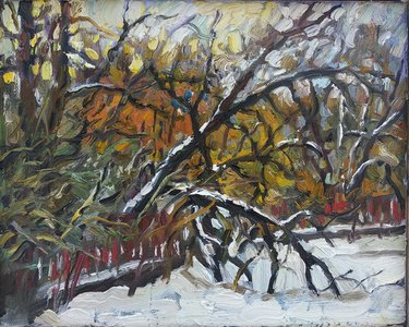 На Академическом пруду зимой