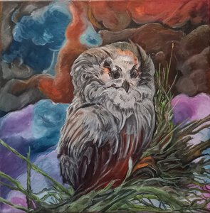 Сова- тревога