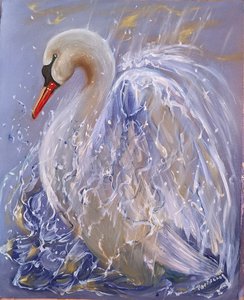 Лебедь Сияние