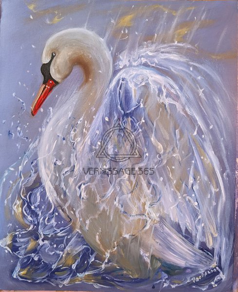 Лебедь Сияние