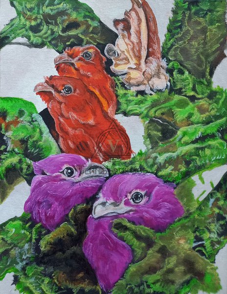 Сон о птицах.Разноцветие.