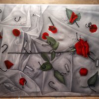 Алина Карелина (kktoyaaa)