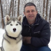 Виктор Лиходеев