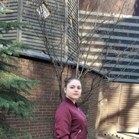 Ксения Жданкина